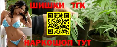 СК Гагарин