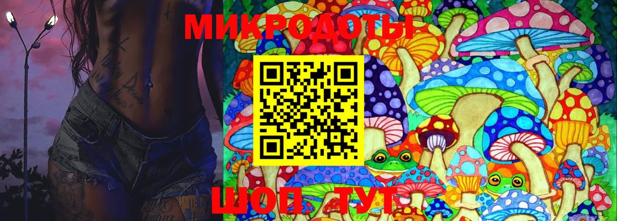 Пугачёв  Псилоцибиновые грибы Psilocybe  даркнет сайт  Вход с VPN 